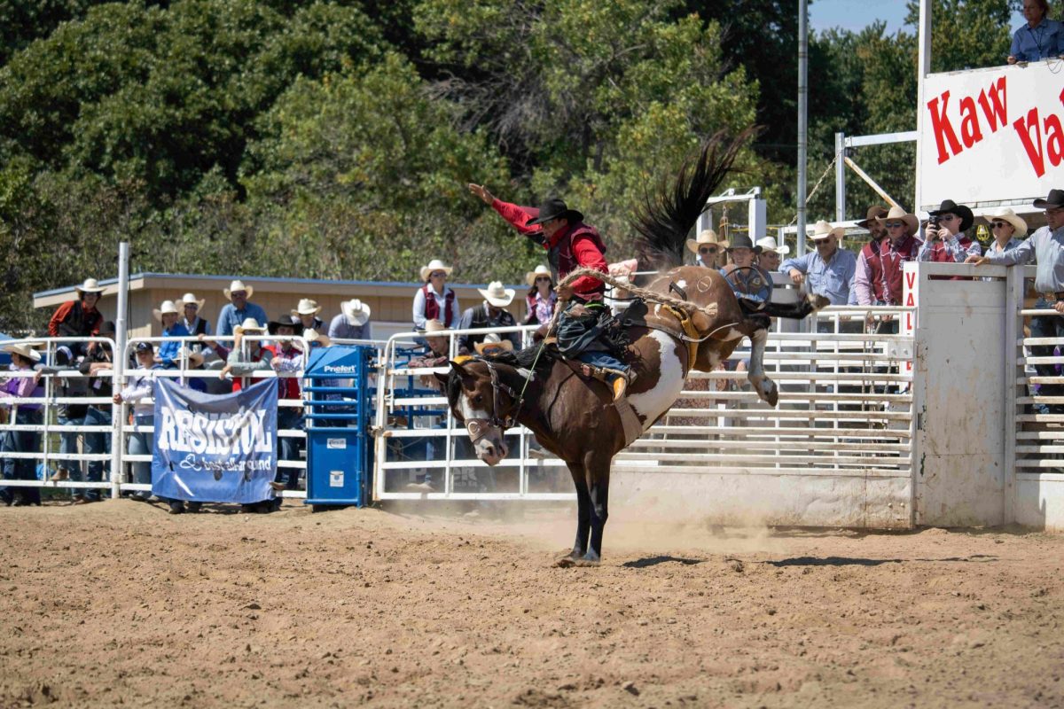 A competitor attempts to complete his ride in saddle bronc riding on Saturday. The K-State rodeo was held at CiCo Park this year.