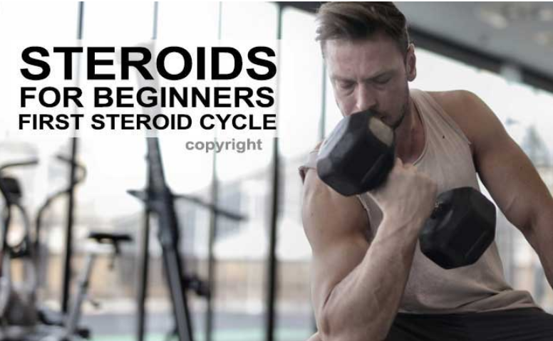 Best Steroids for Beginners - First Steroid Cycle for Bulking and Cutting